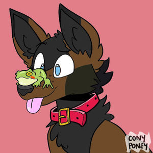 Meet your Posher, Fern